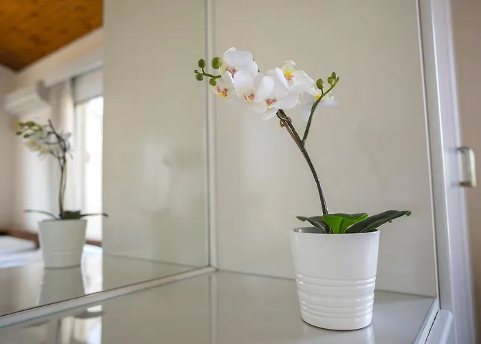 Villa Larnaca Marina