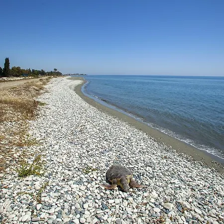 וילה Larnaca Marina