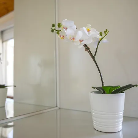 וילה Larnaca Marina